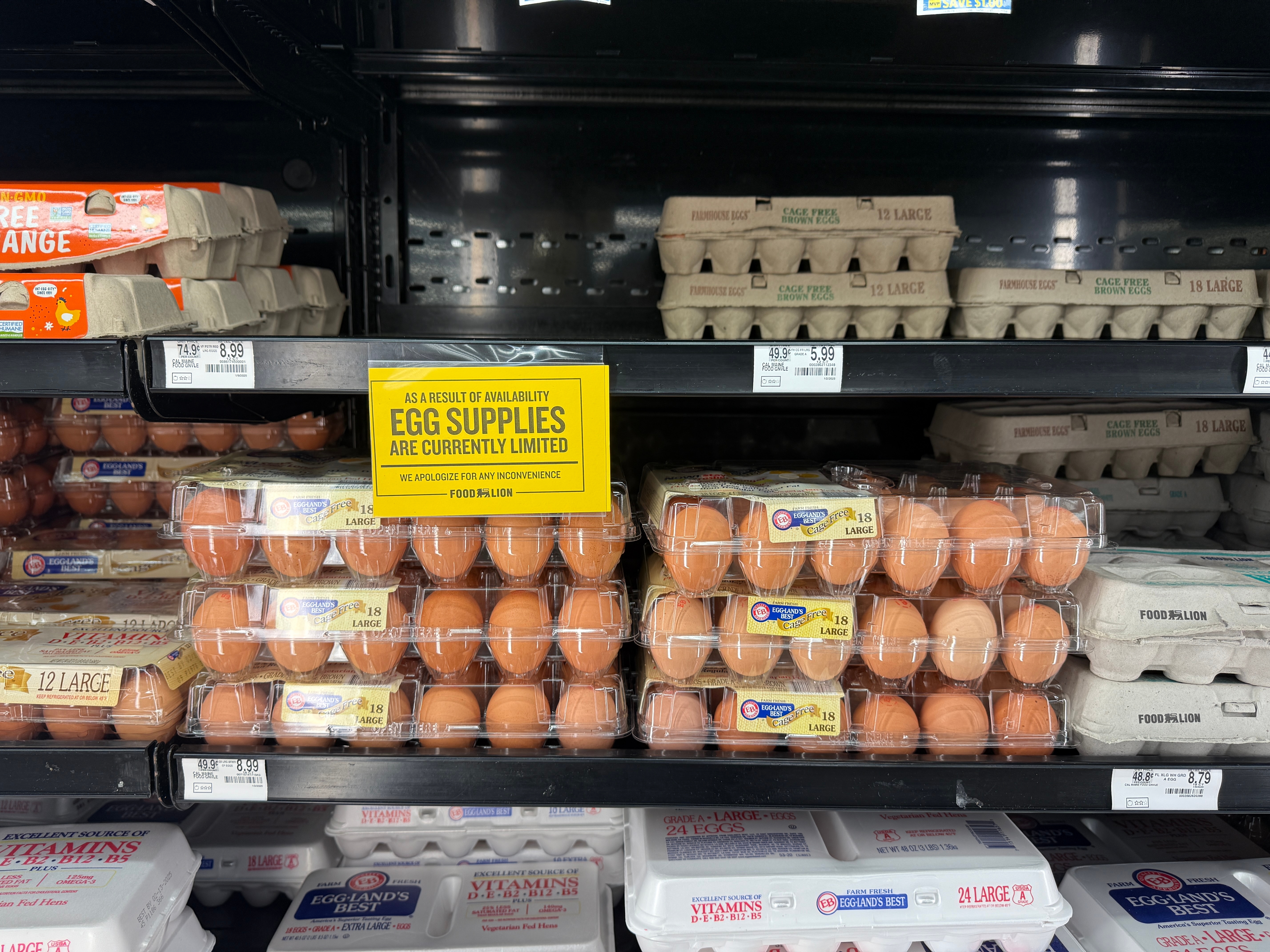 Eggs